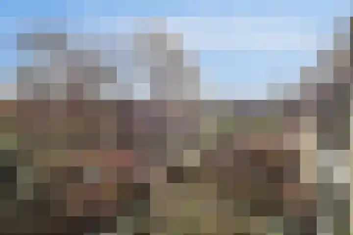 Schiermonnikoog 1 Utrecht thumbnail 21