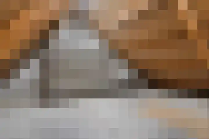 Schiermonnikoog 1 Utrecht thumbnail 23