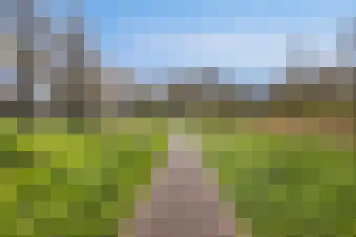 Schiermonnikoog 1 Utrecht thumbnail 28