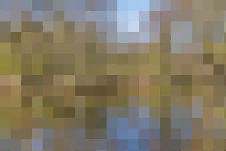 Schiermonnikoog 1 Utrecht thumbnail 29