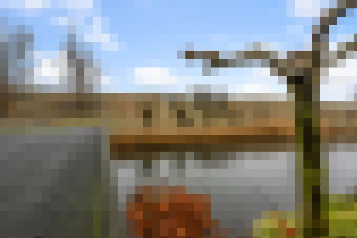 Schiermonnikoog 12 Heemskerk thumbnail 43