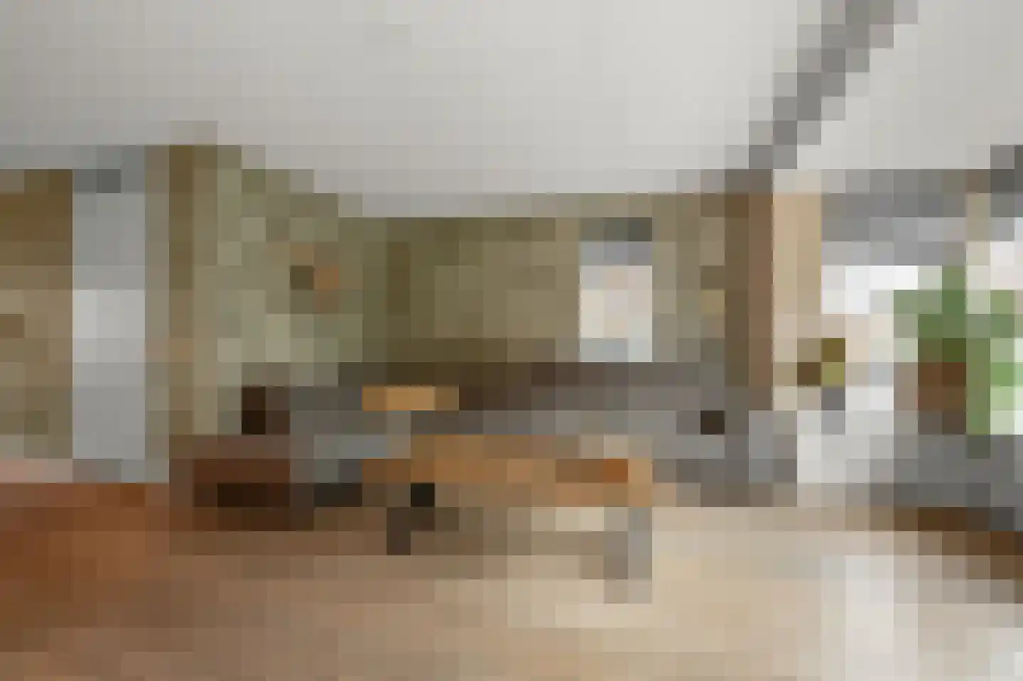 Schiermonnikoog 12 Heemskerk thumbnail 5