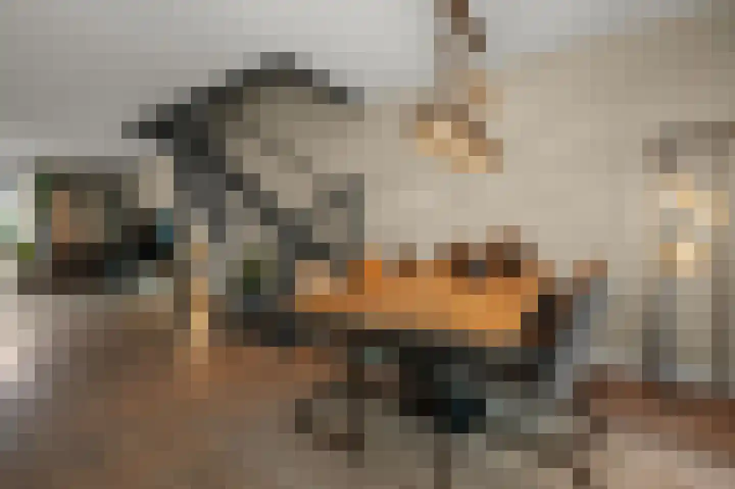 Schiermonnikoog 12 Heemskerk thumbnail 9