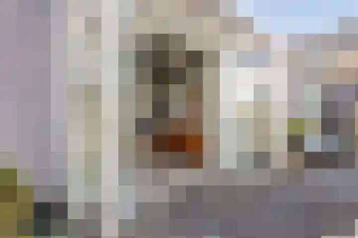 Schiermonnikoog 15 Zaandam thumbnail 25