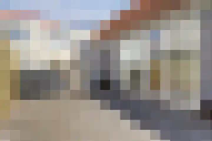 Schiermonnikoog 15 Zaandam thumbnail 29