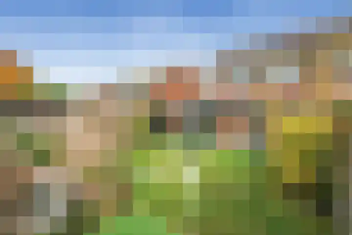 Schiermonnikoog 19 Heemskerk thumbnail 28