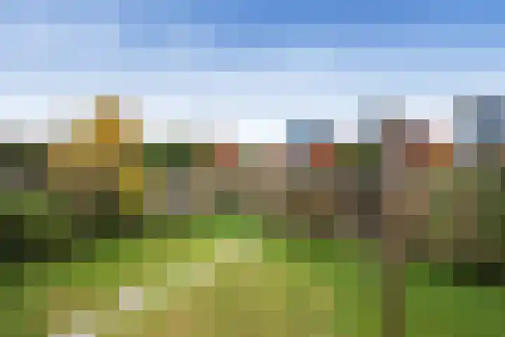 Schiermonnikoog 19 Heemskerk thumbnail 30