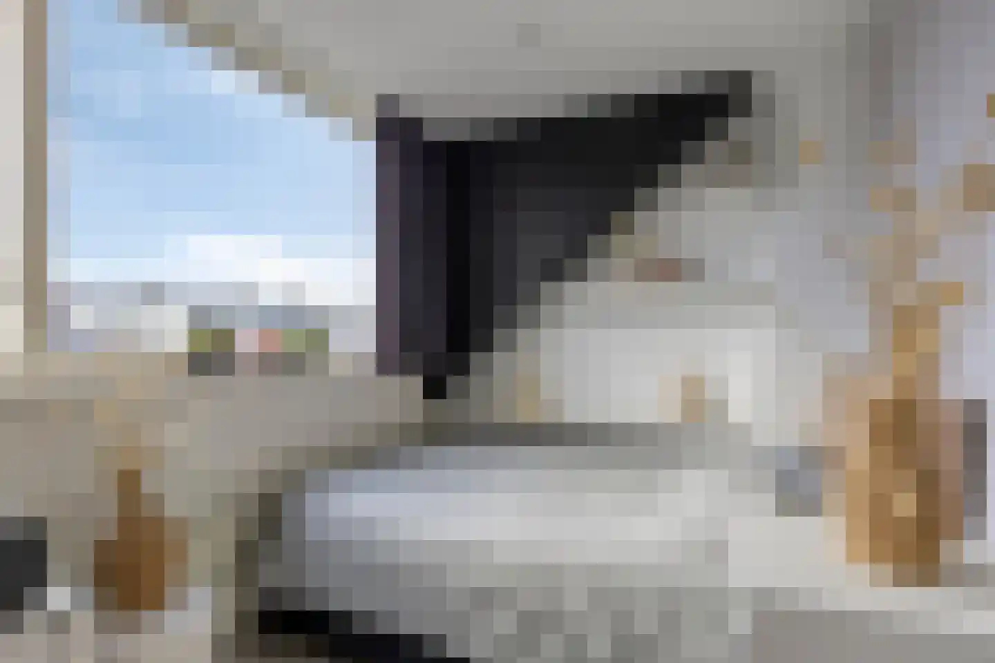 Schiermonnikoog 33 Zaandam thumbnail 25