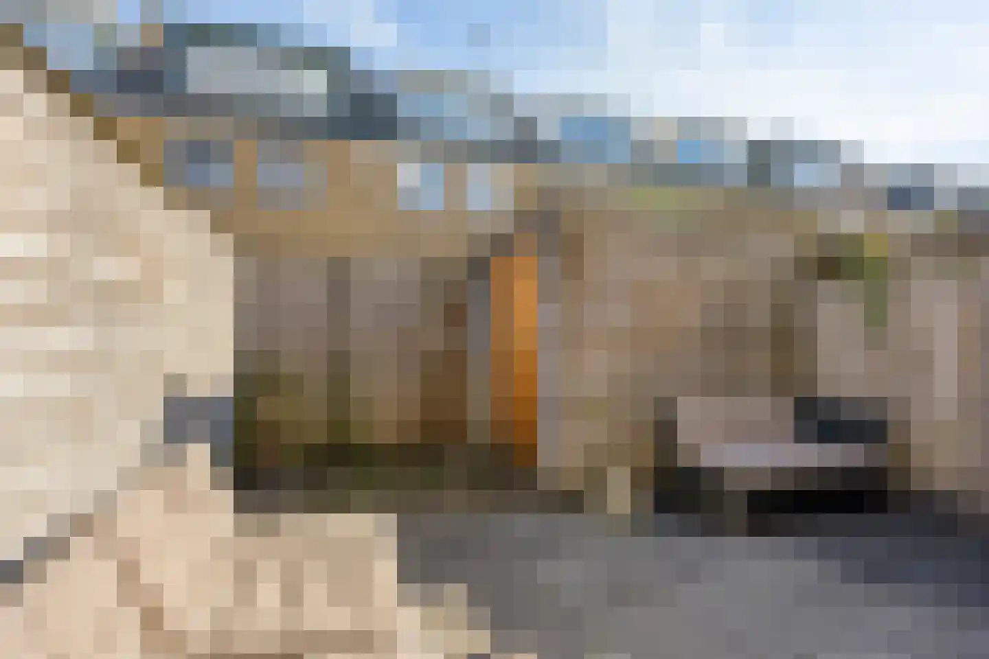 Schiermonnikoog 33 Zaandam thumbnail 29