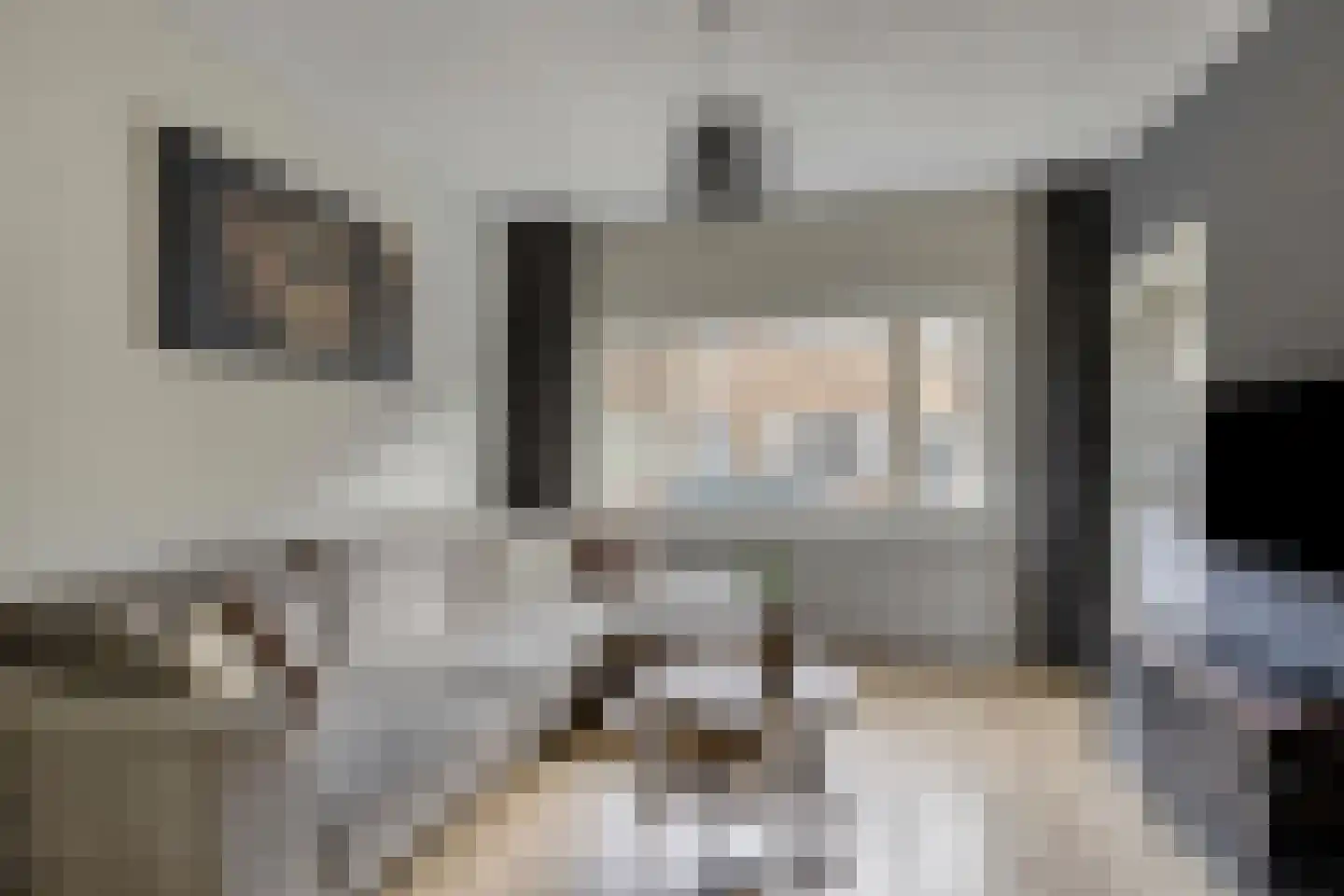 Schiermonnikoog 33 Zaandam thumbnail 7