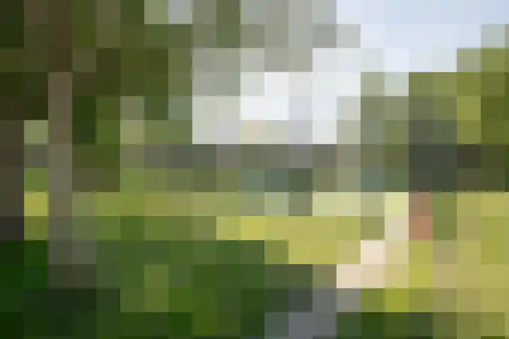 Schiermonnikoog 44 Zaandam thumbnail 32