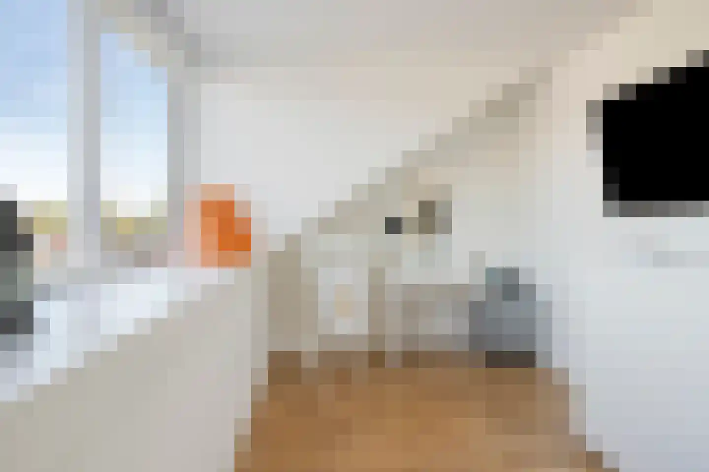 Schiermonnikoog 53 Heemskerk thumbnail 20