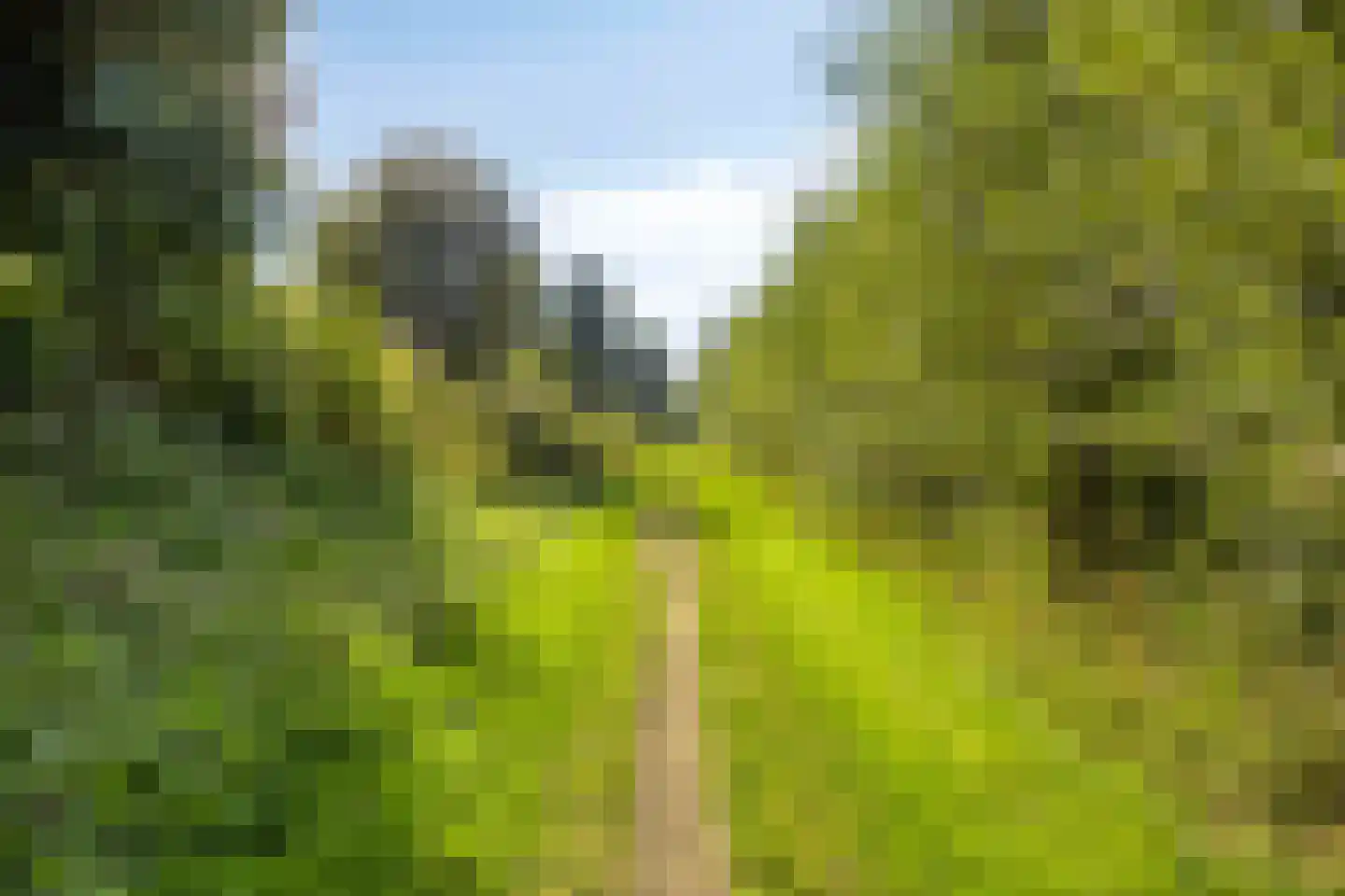 Schiermonnikoog 53 Heemskerk thumbnail 34