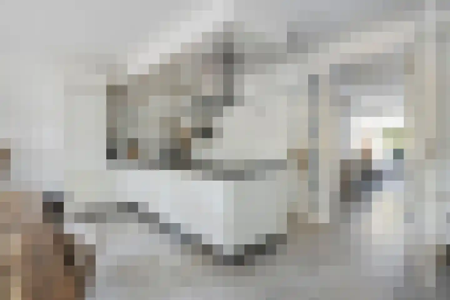 Schiermonnikoog 53 Heemskerk thumbnail 9