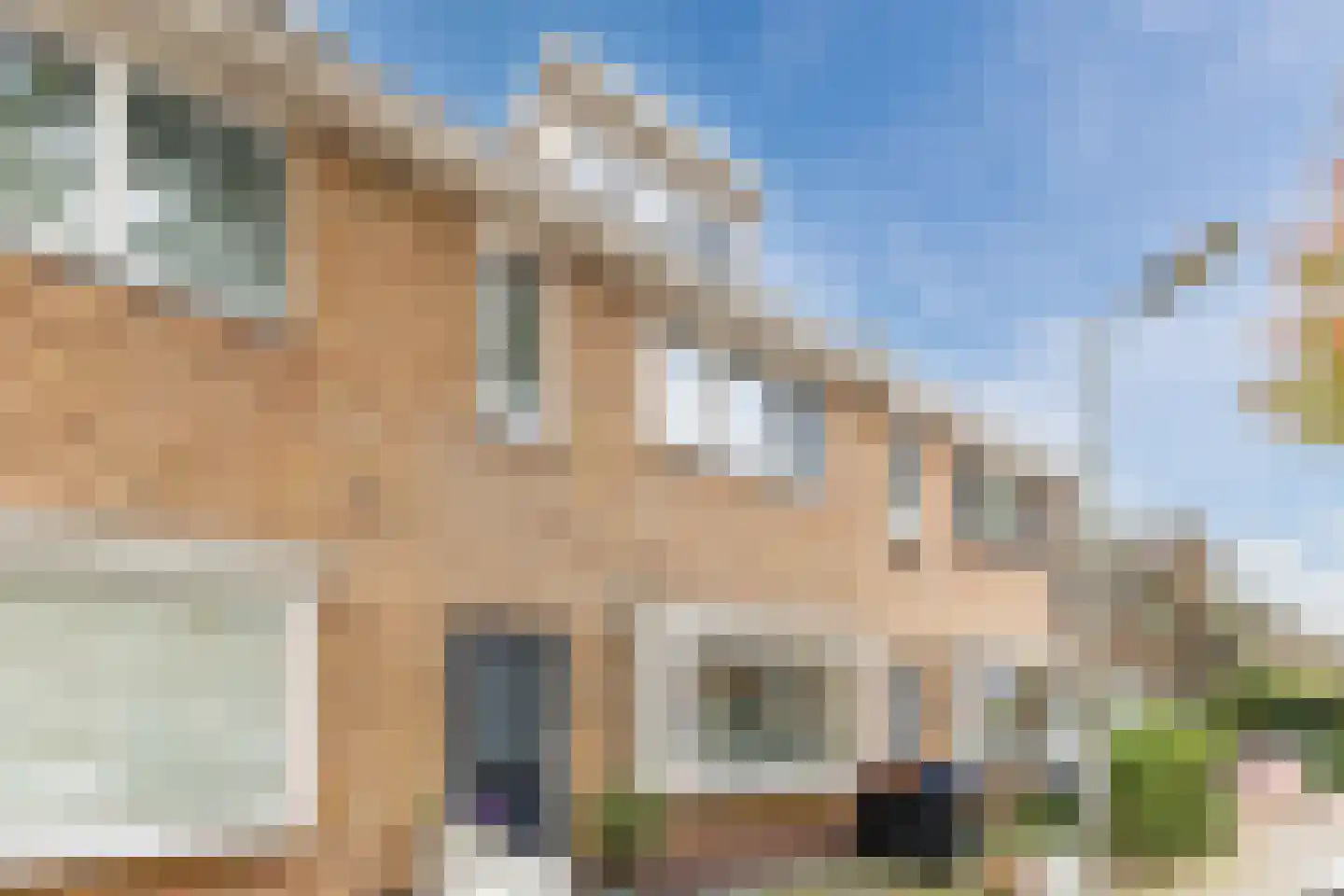 Schiermonnikoog 71 Zaandam thumbnail 9