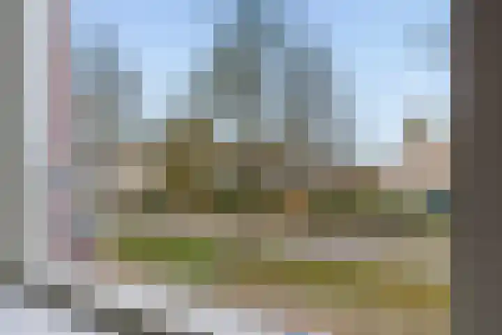 Schiermonnikoog 75 Heemskerk thumbnail 41
