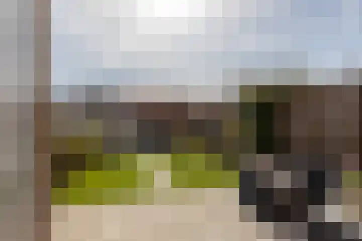 Schiermonnikoog 8 Barendrecht thumbnail 30