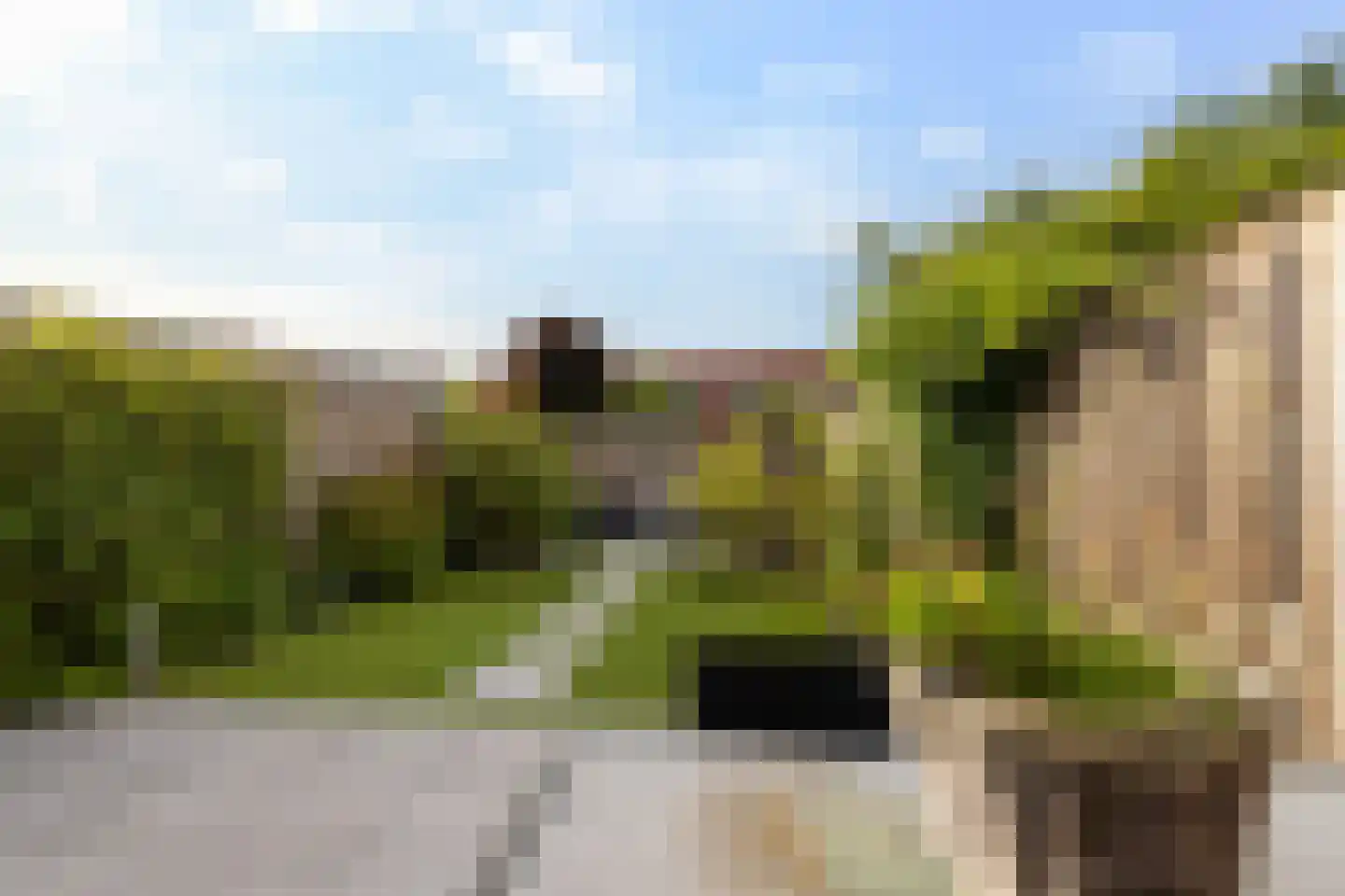 Schiermonnikoog 8 Barendrecht thumbnail 30