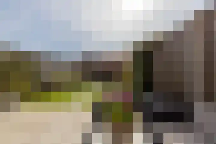 Schiermonnikoog 8 Barendrecht thumbnail 31