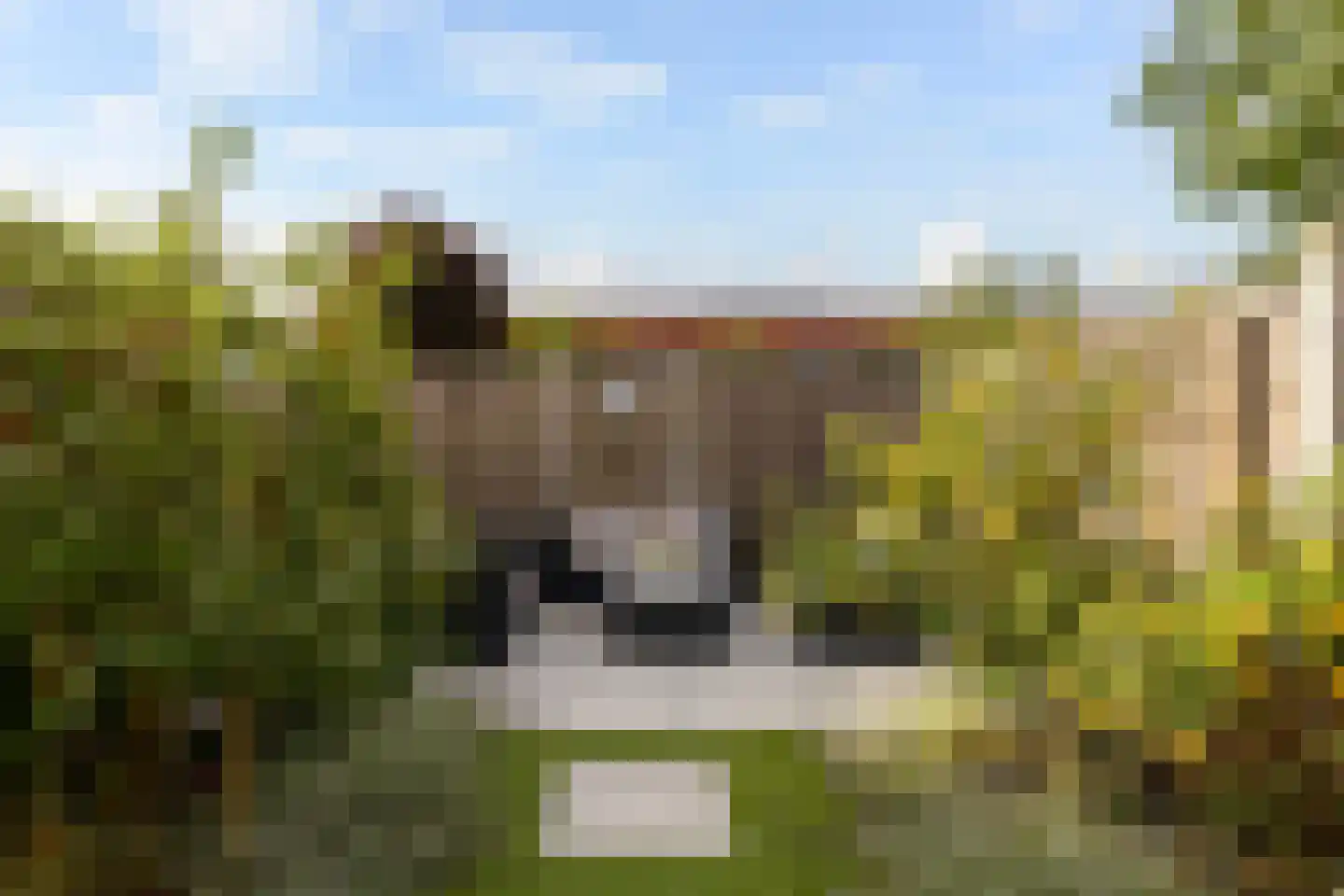 Schiermonnikoog 8 Barendrecht thumbnail 33