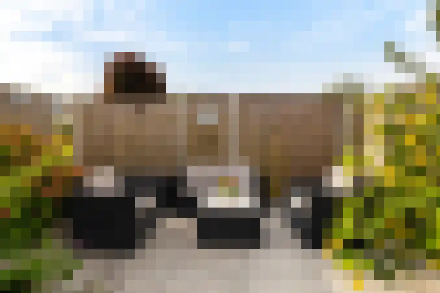 Schiermonnikoog 8 Barendrecht thumbnail 34
