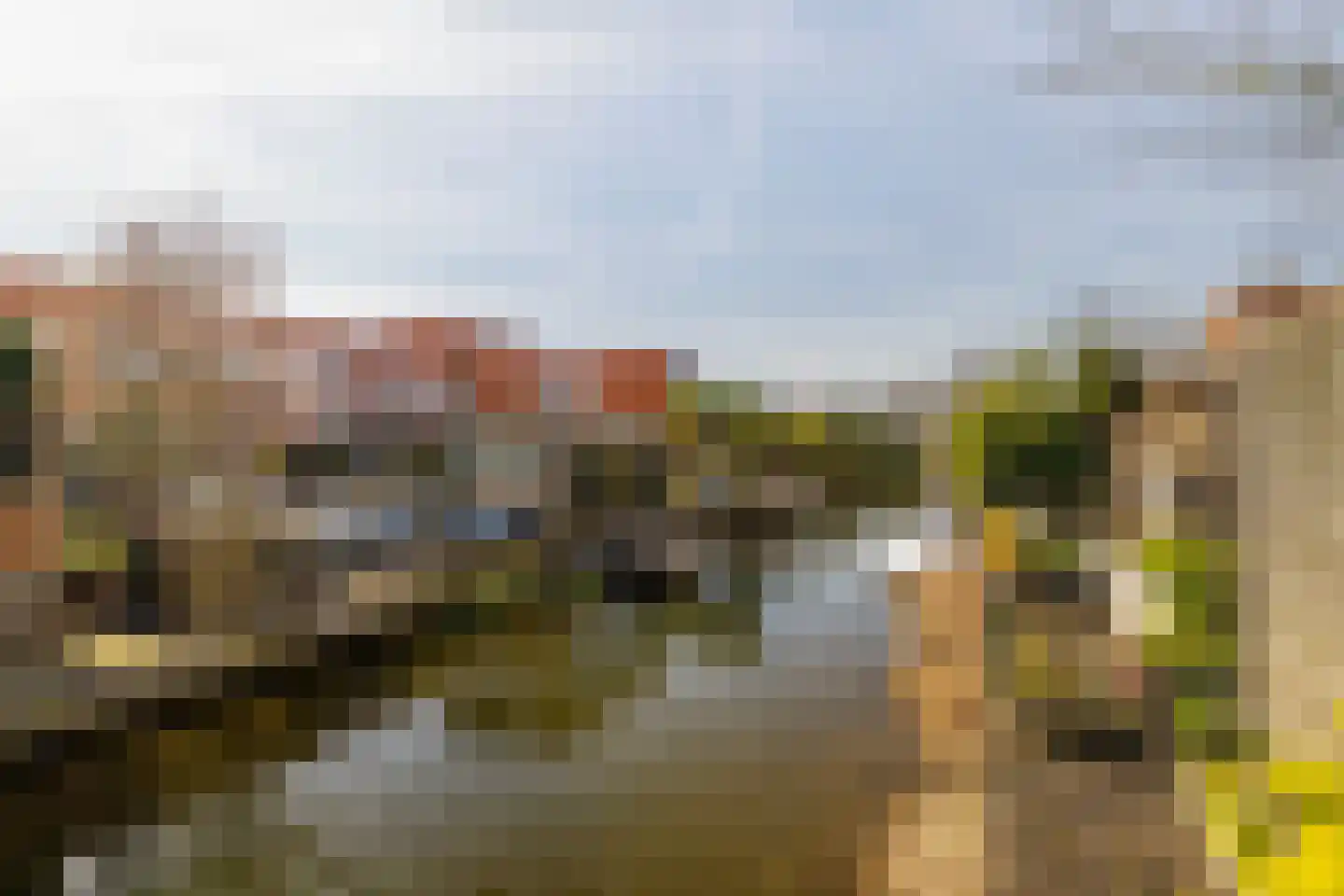 Schiermonnikoog 8 Barendrecht thumbnail 35