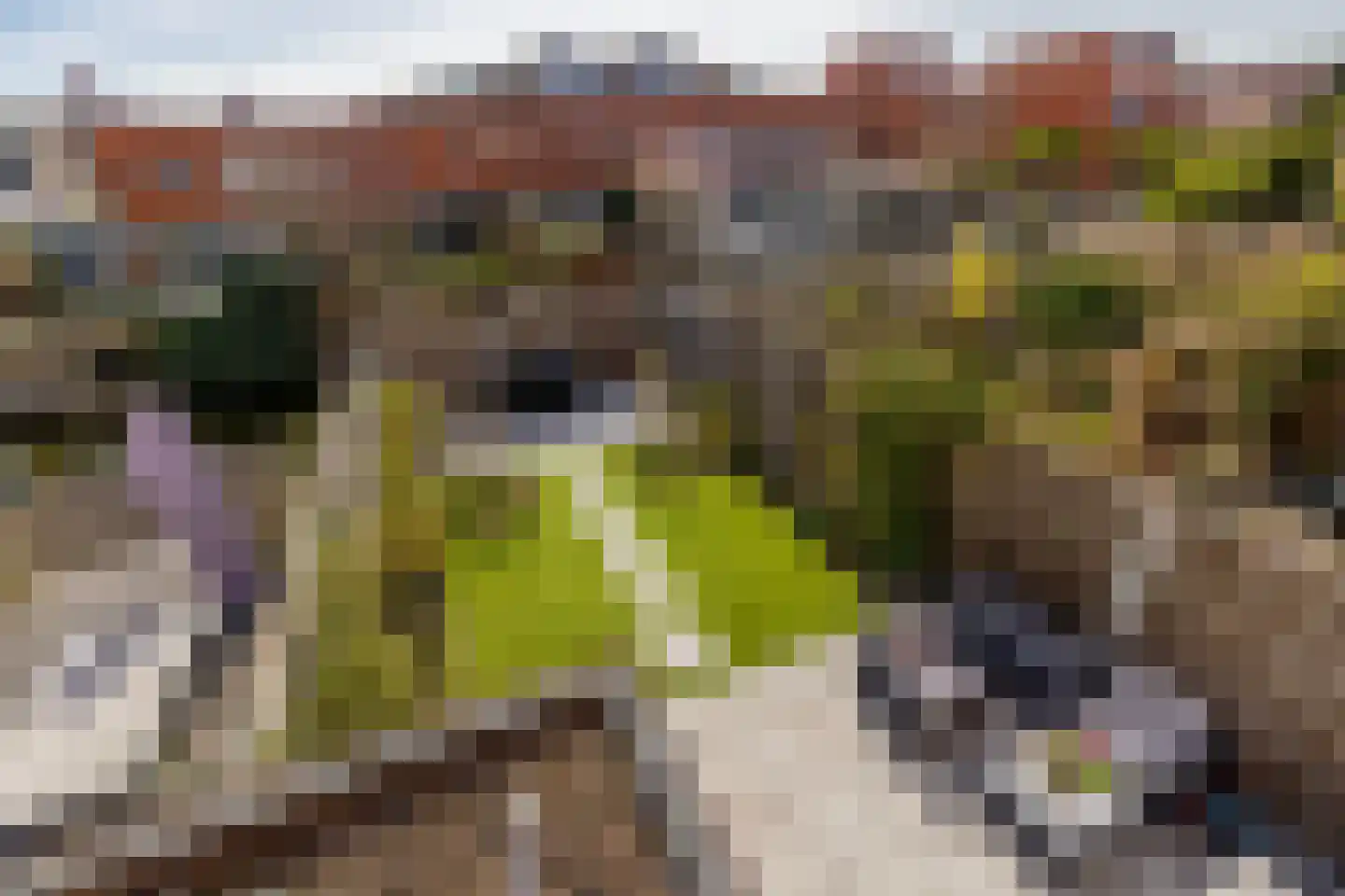 Schiermonnikoog 8 Barendrecht thumbnail 36