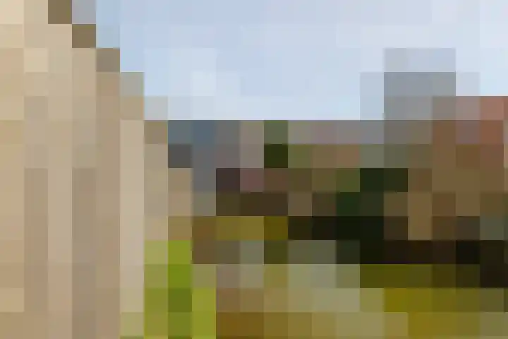 Schiermonnikoog 8 Barendrecht thumbnail 36