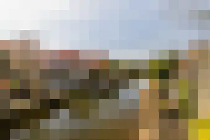 Schiermonnikoog 8 Barendrecht thumbnail 37