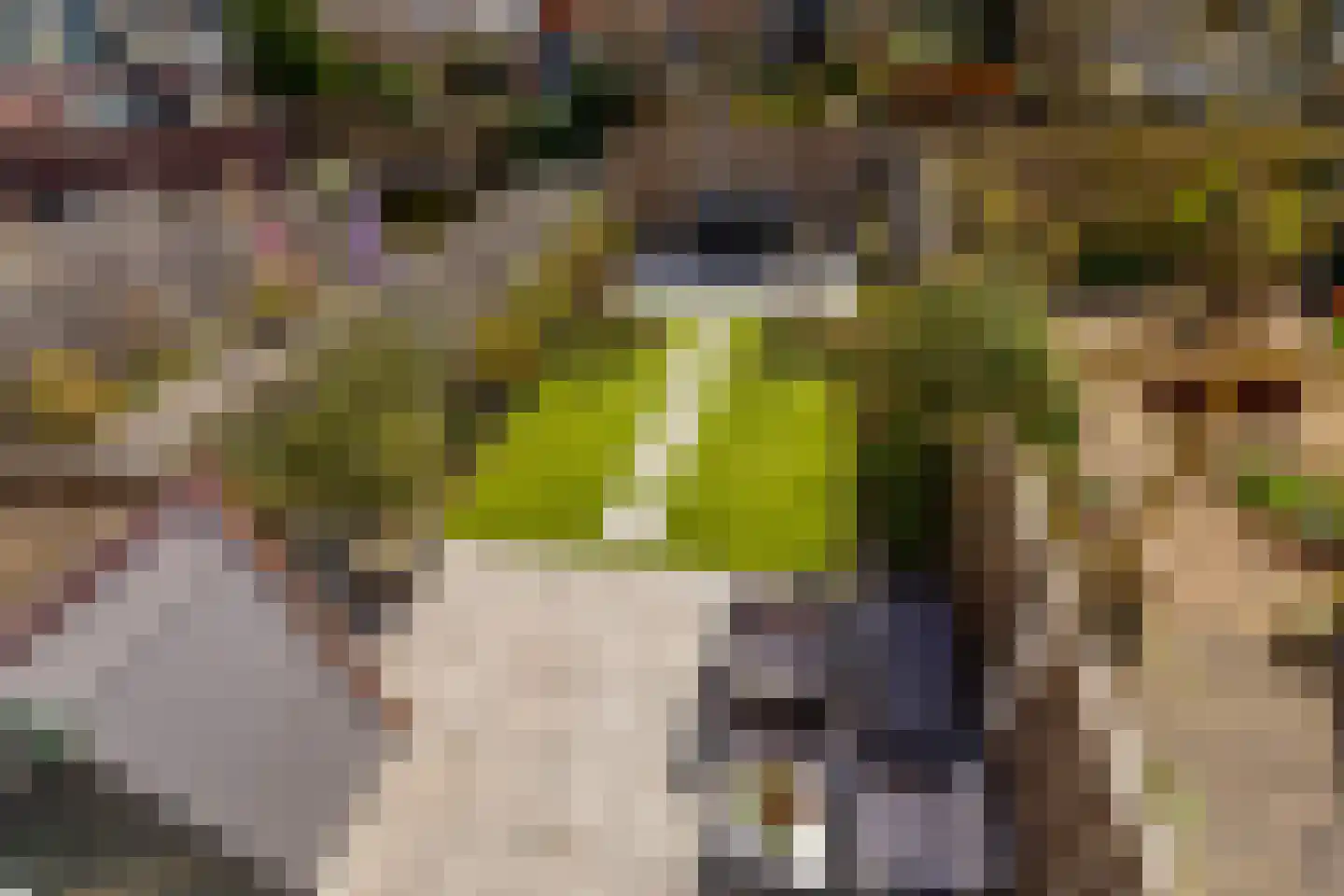 Schiermonnikoog 8 Barendrecht thumbnail 37