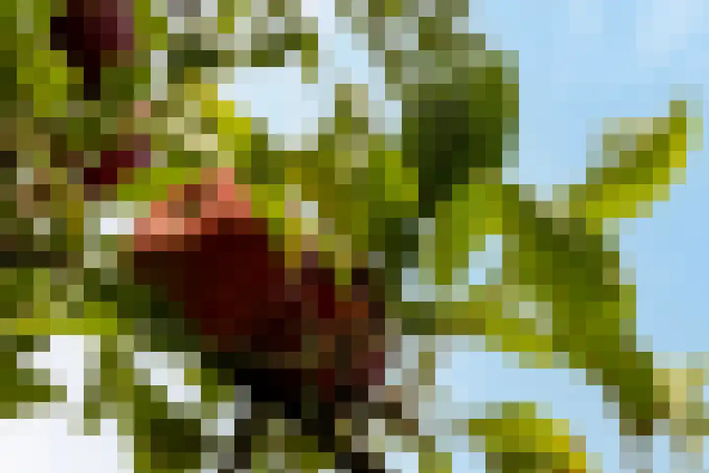 Schiermonnikoog 8 Barendrecht thumbnail 38