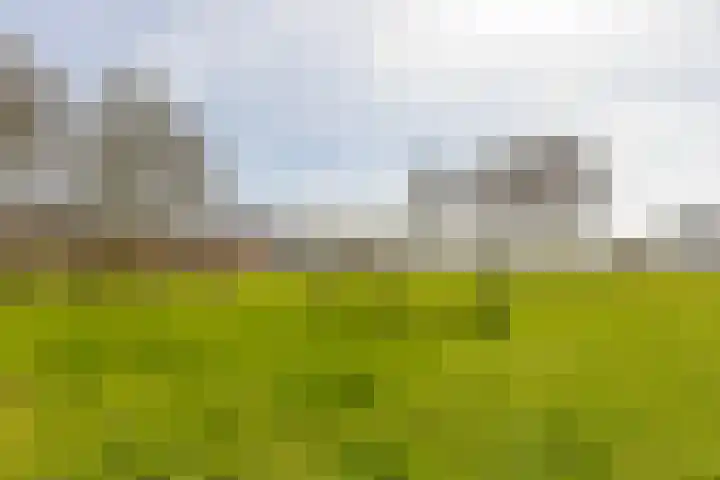 Schiermonnikoog 8 Barendrecht thumbnail 42