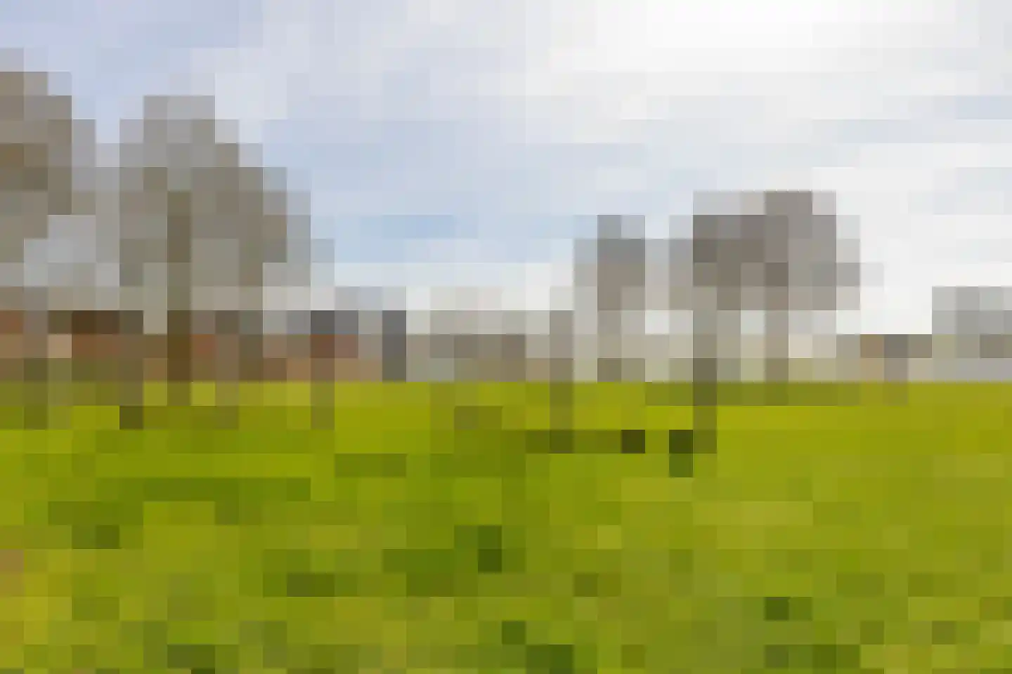 Schiermonnikoog 8 Barendrecht thumbnail 46