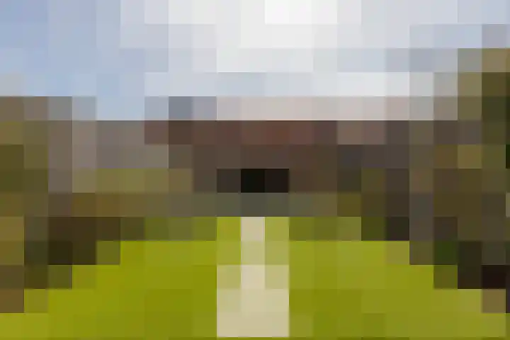 Schiermonnikoog 8 Barendrecht thumbnail 5