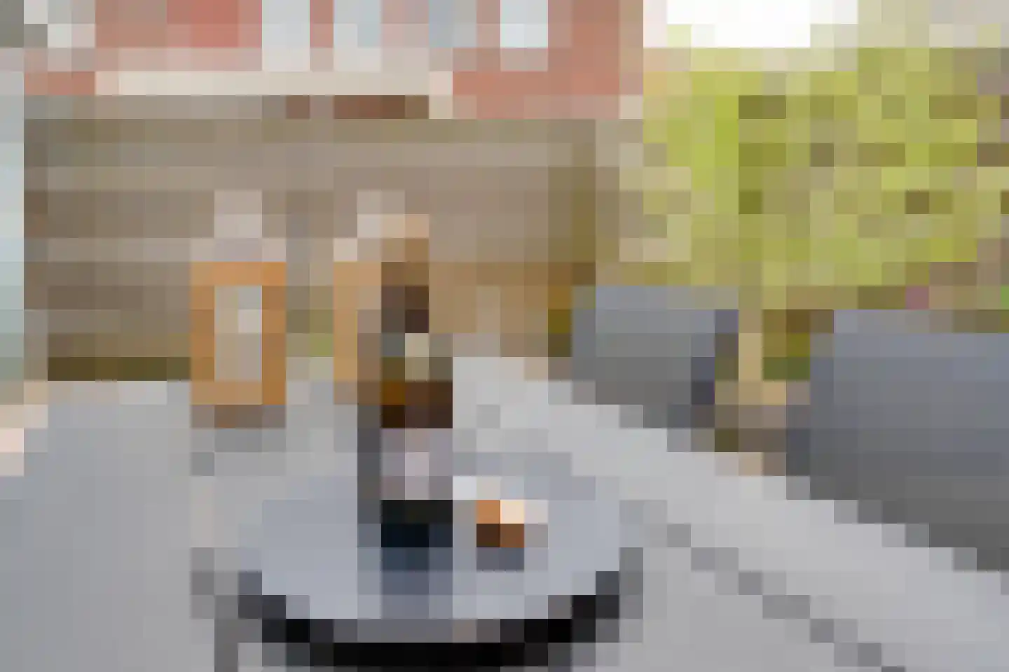 Schiermonnikoogstraat 10 Amsterdam thumbnail 18
