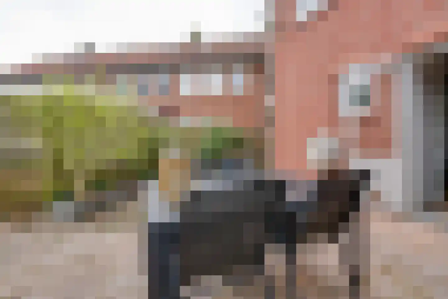 Schiermonnikoogstraat 10 Amsterdam thumbnail 19
