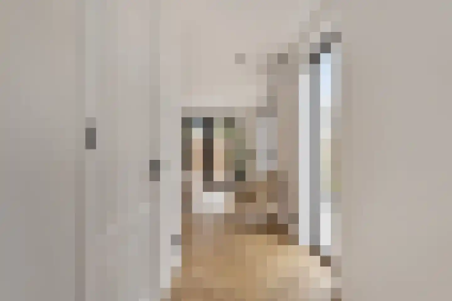 Schiermonnikoogstraat 2 Amstelveen thumbnail 25