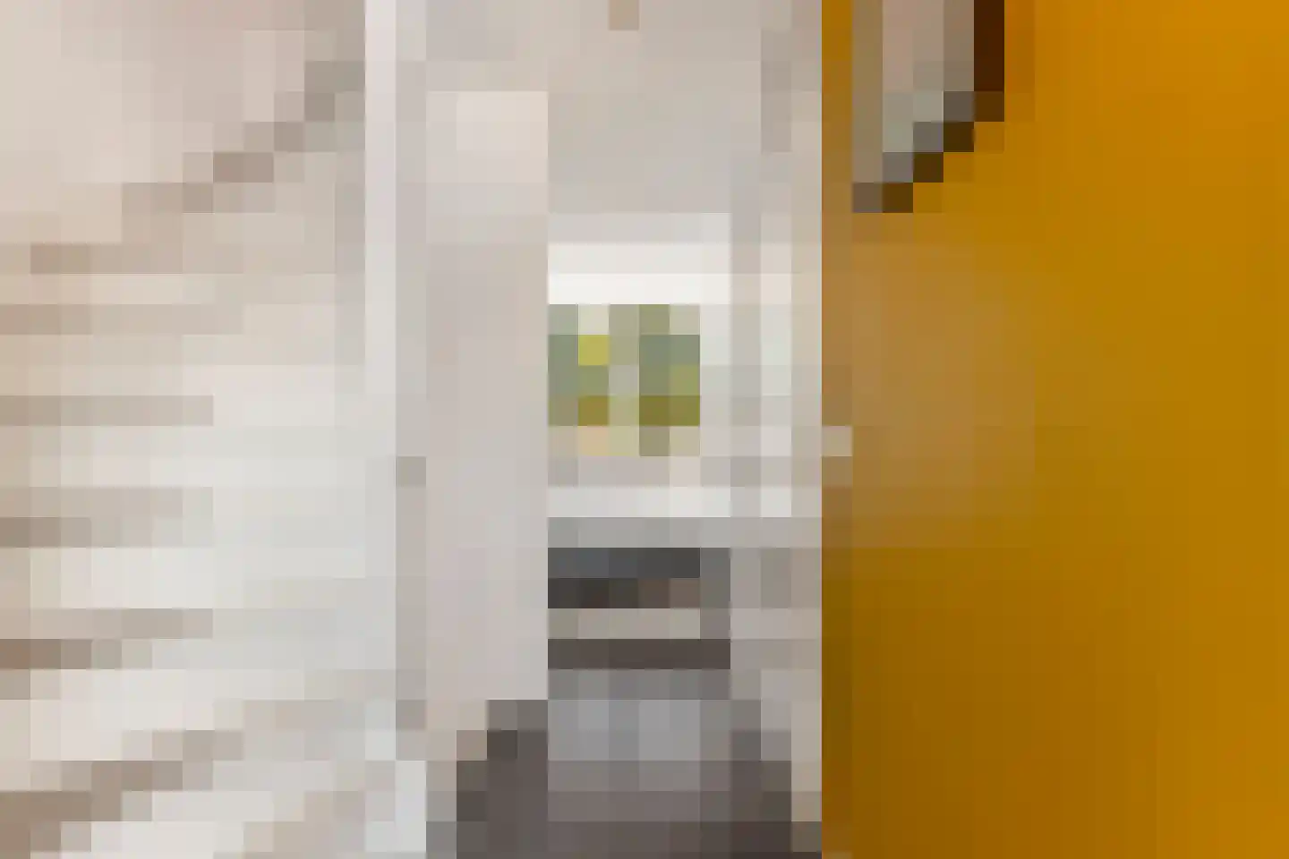 Schiermonnikoogstraat 53 Alkmaar thumbnail 11