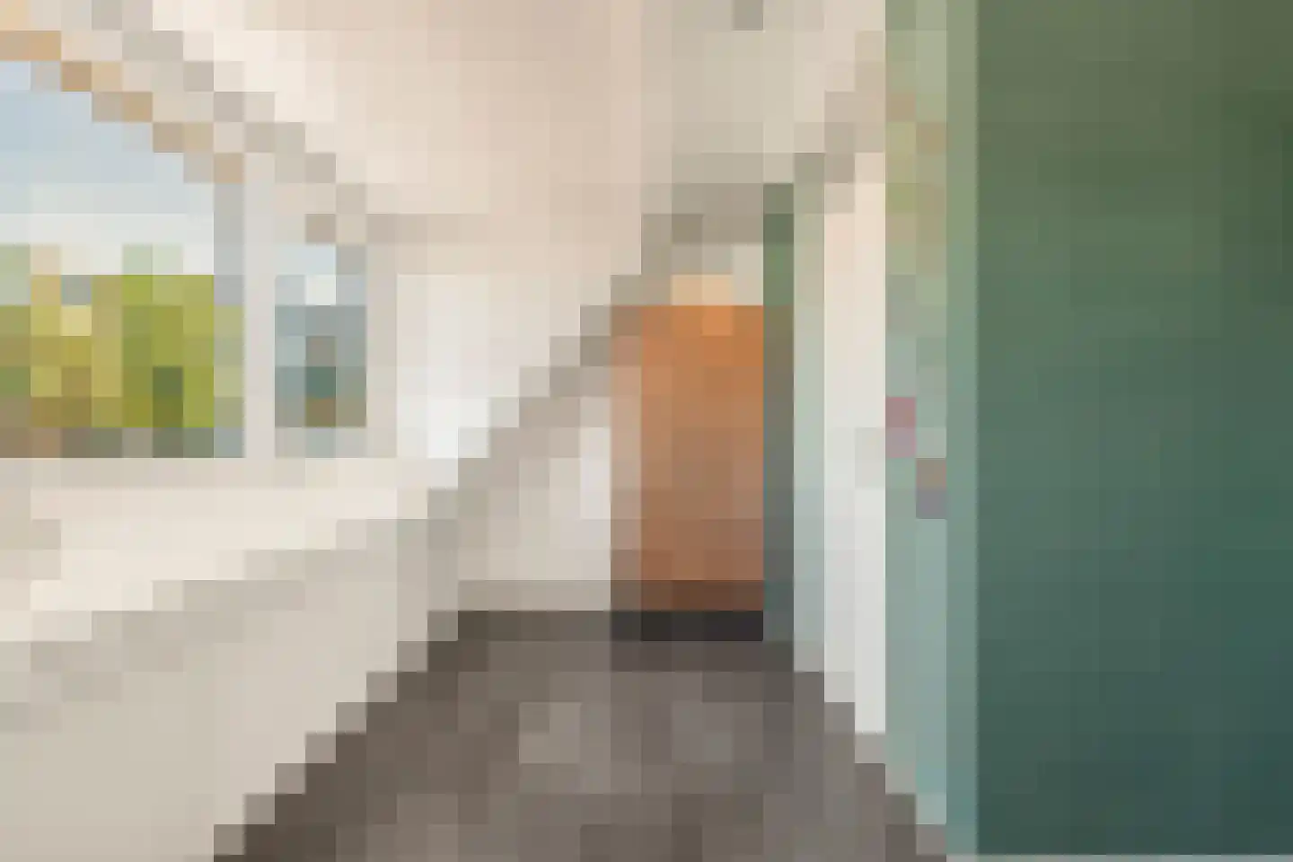 Schiermonnikoogstraat 53 Alkmaar thumbnail 8