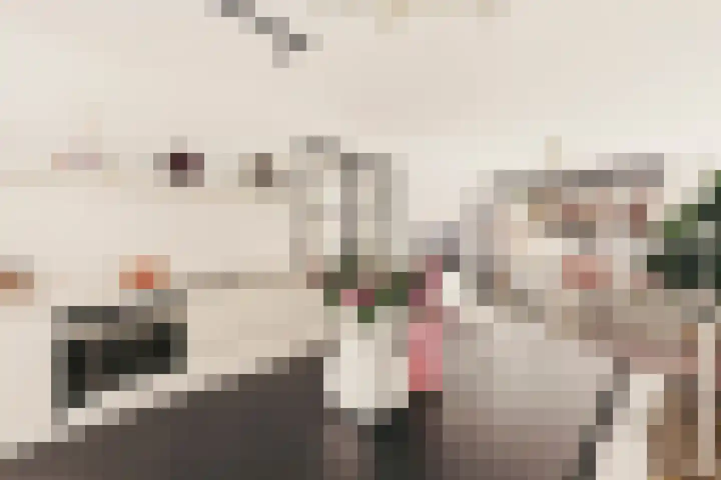 Schierstins 10 Amsterdam thumbnail 12