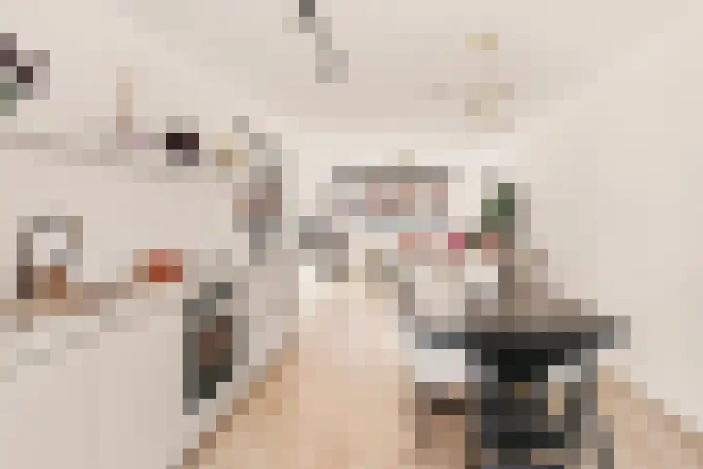 Schierstins 10 Amsterdam thumbnail 18