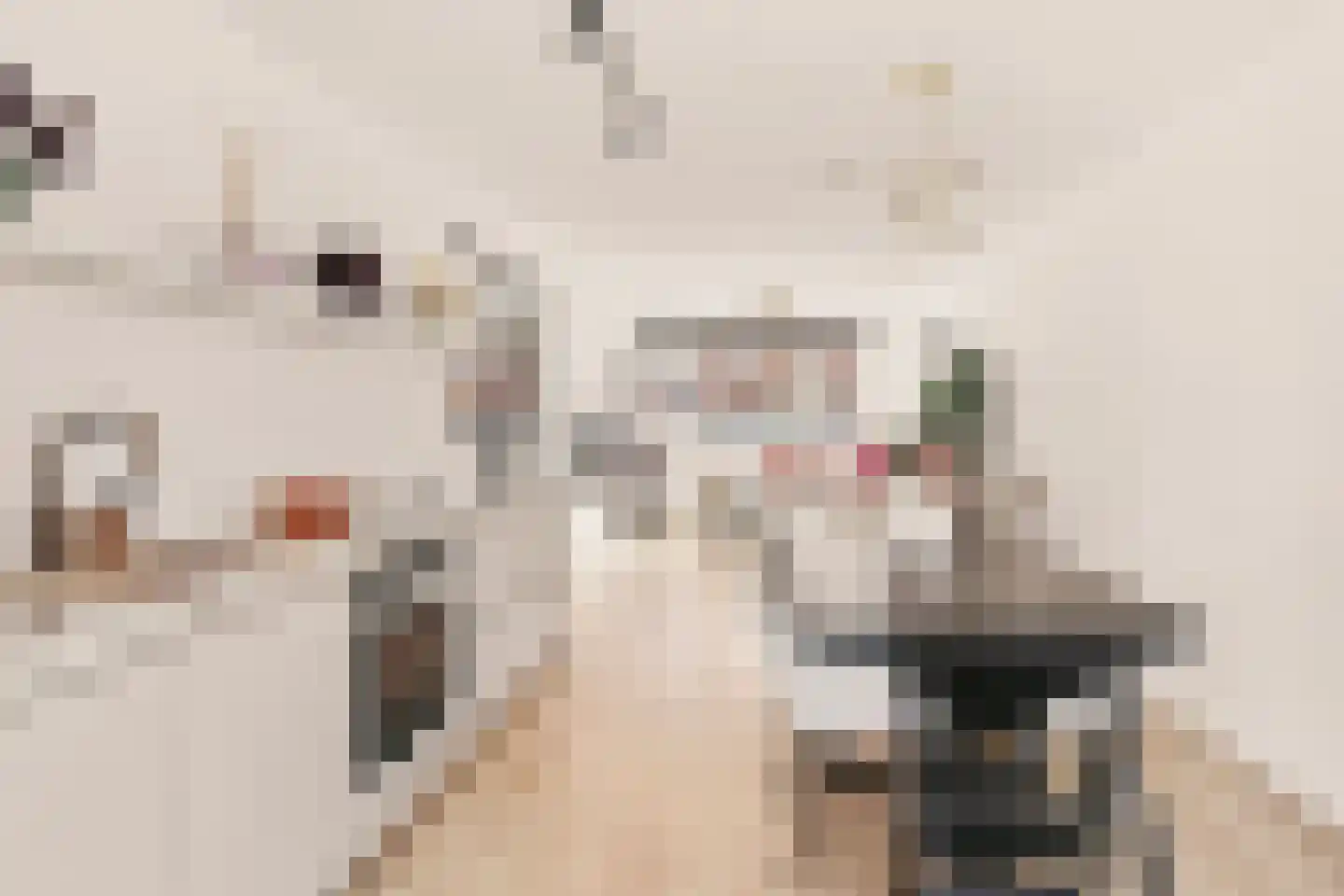 Schierstins 10 Amsterdam thumbnail 18