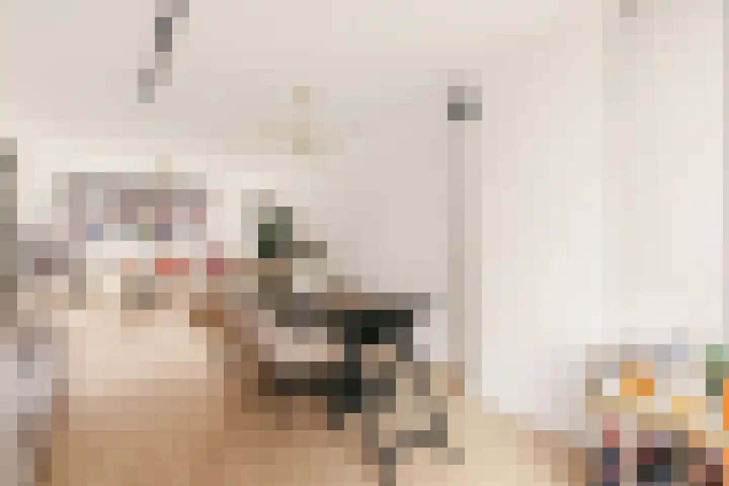 Schierstins 10 Amsterdam thumbnail 22