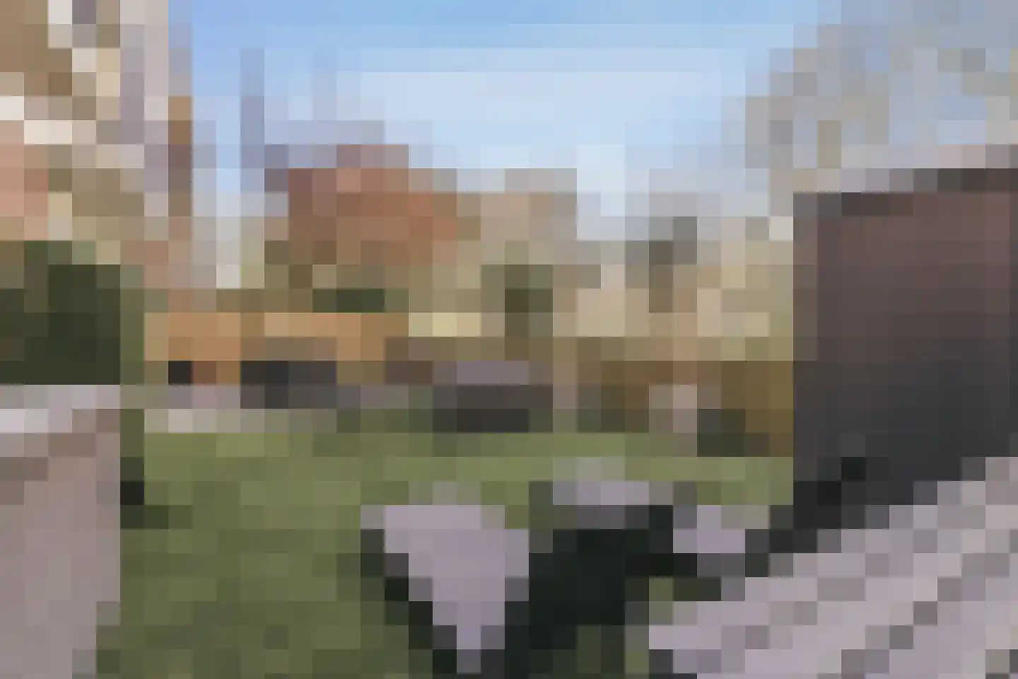 Schierstins 10 Amsterdam thumbnail 23