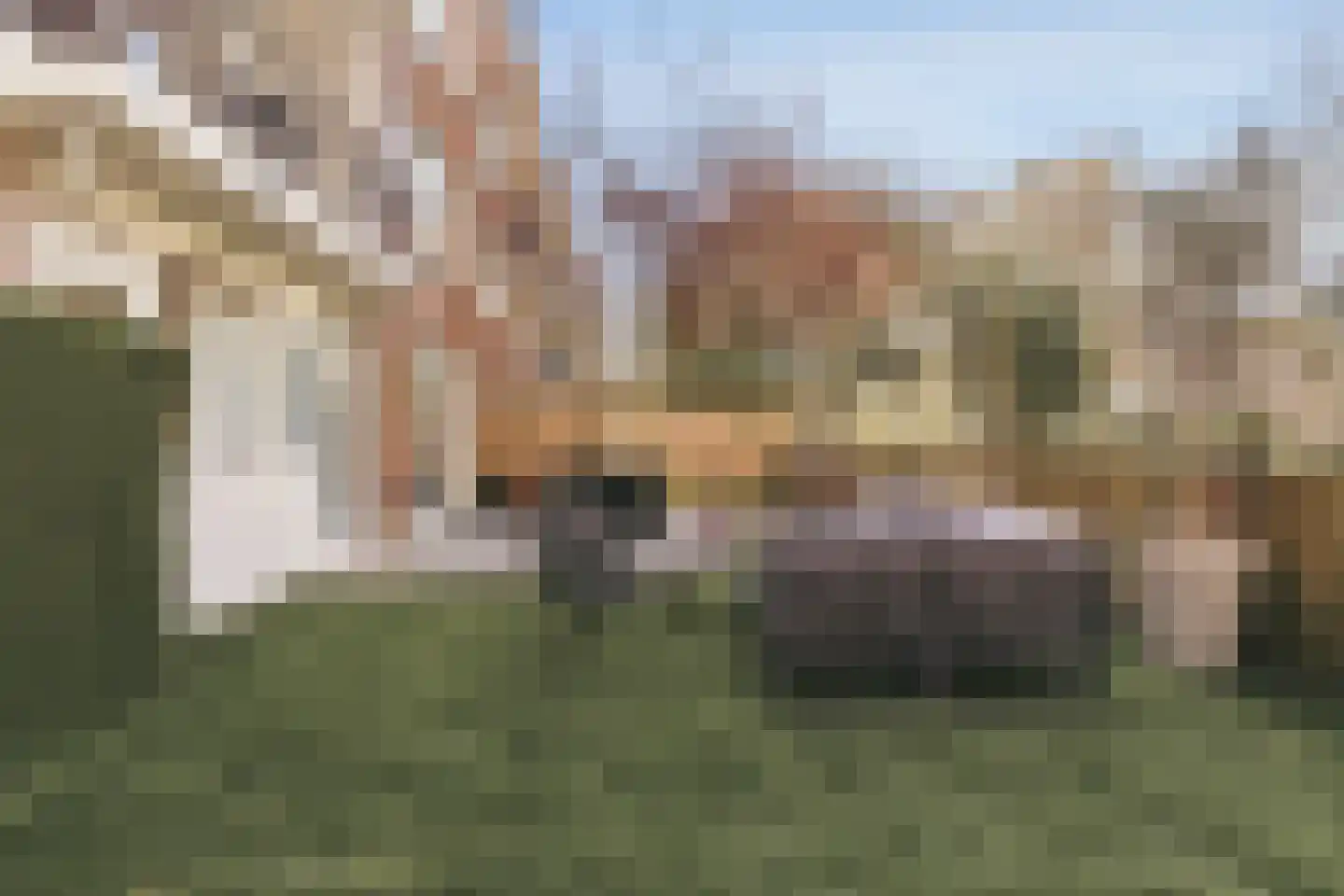Schierstins 10 Amsterdam thumbnail 24