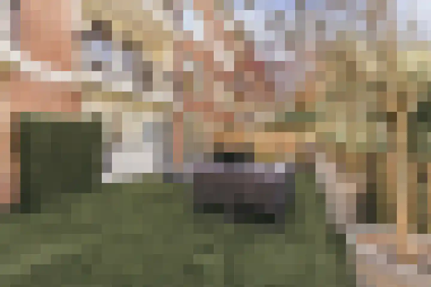 Schierstins 10 Amsterdam thumbnail 25