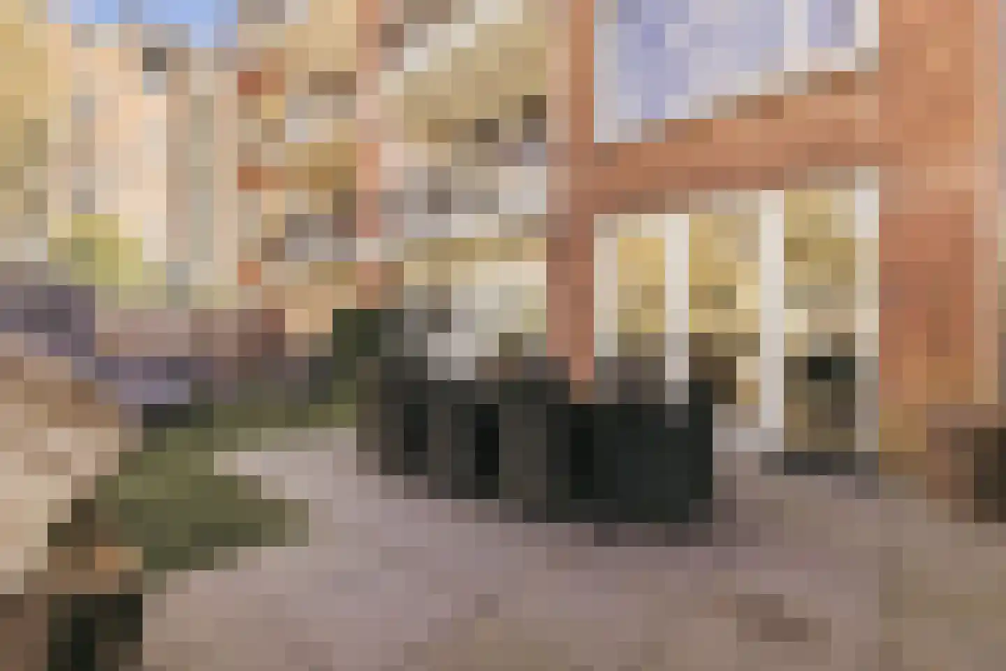 Schierstins 10 Amsterdam thumbnail 26