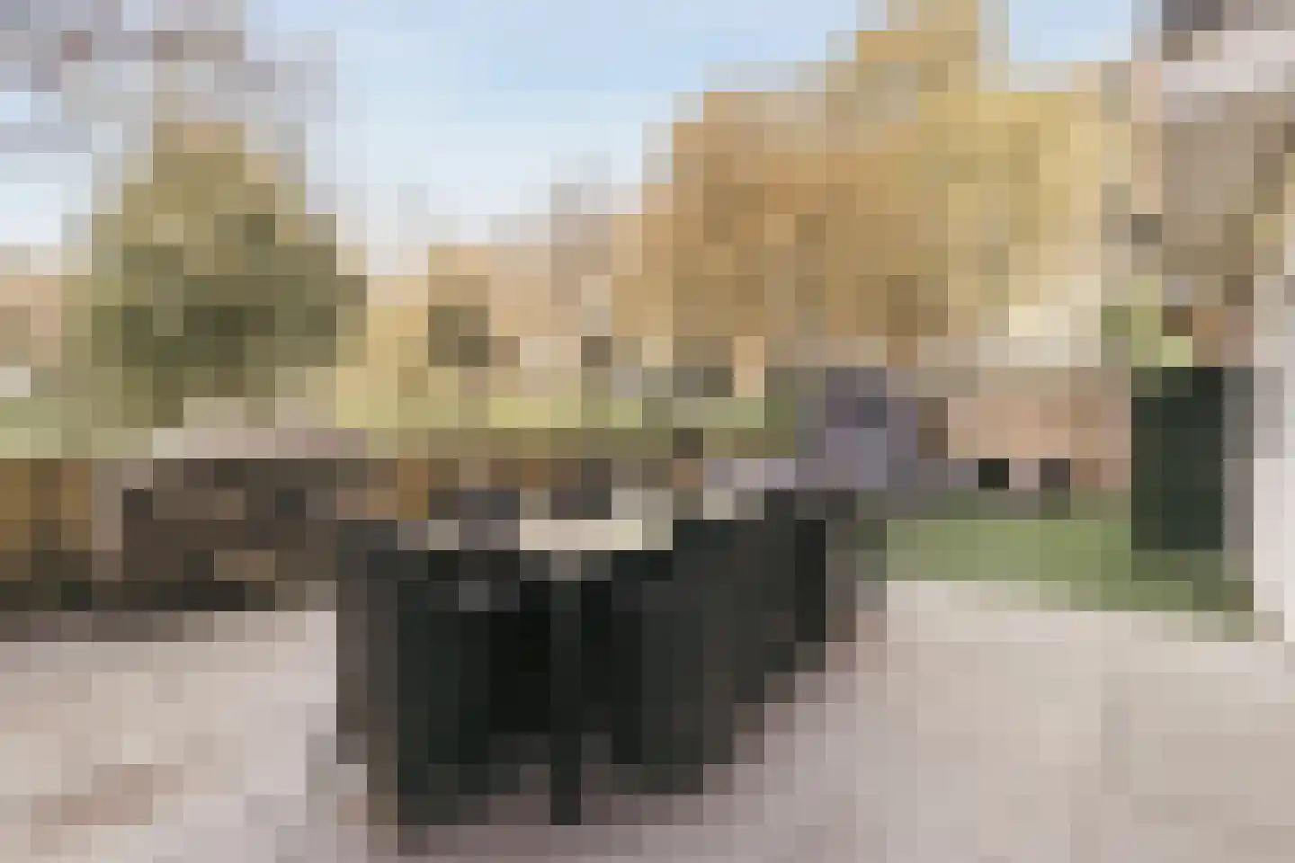 Schierstins 10 Amsterdam thumbnail 27