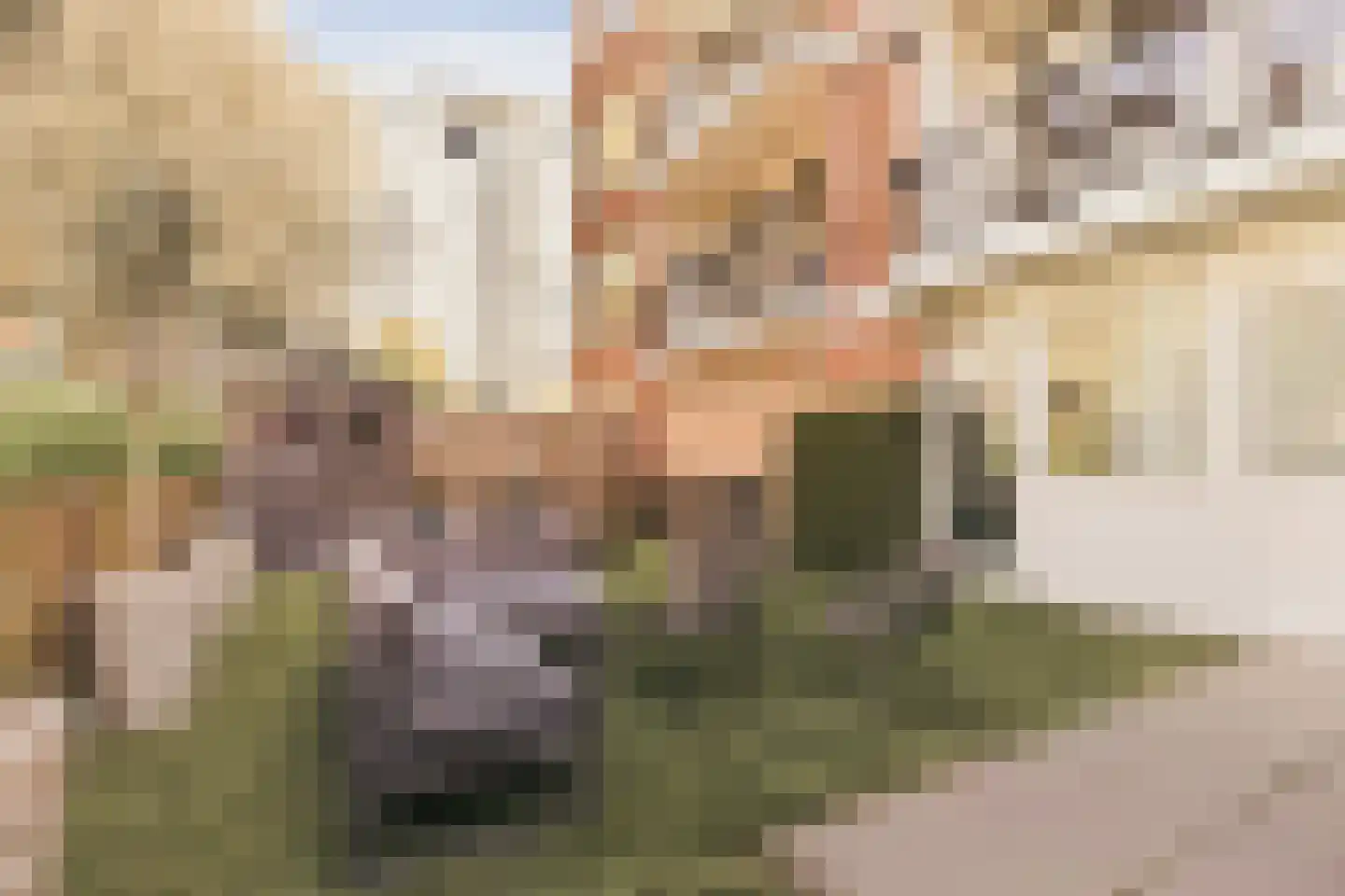 Schierstins 10 Amsterdam thumbnail 28