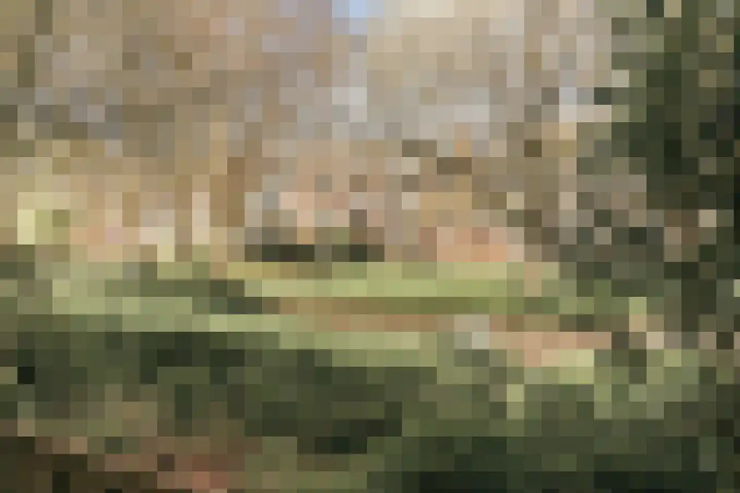 Schierstins 10 Amsterdam thumbnail 48
